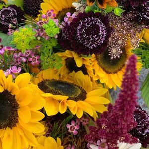 Meet your Posher, Malaia